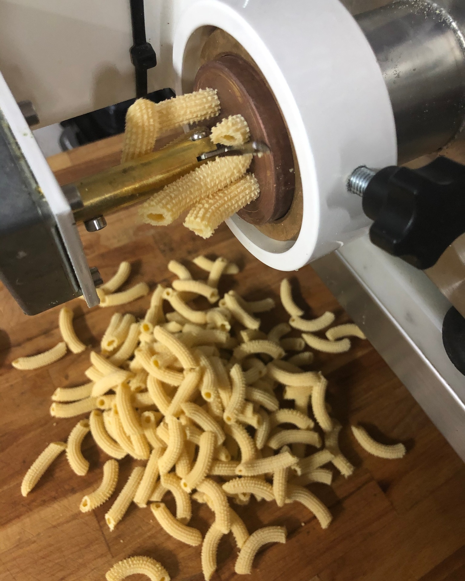 sedanini trafilati al bronzo